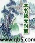 极客战警之王者荣耀封面