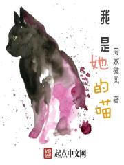 网游之神选封面