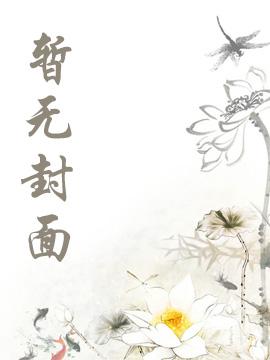 万历十七封面