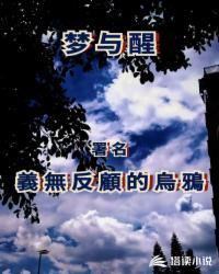 巫师大领主封面