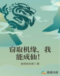 缉毒双雄封面