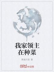 从零开始的兰斯大陆封面