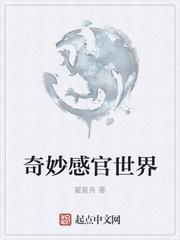 天赐良玑封面