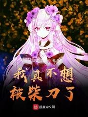 穿越之一言难尽封面