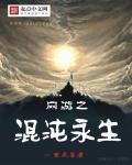 妻乃敌军之将封面