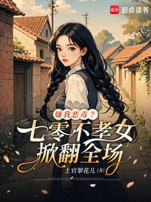 星雨落寒江封面